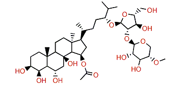 Echinasteroside B1